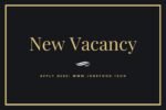 New Vacancy for Any Graduate | Warehouse Executive