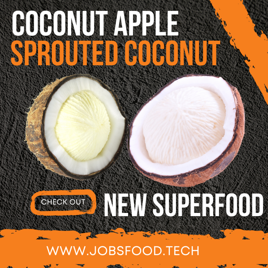 What is Coconut Apple Or Sprouted Coconut 