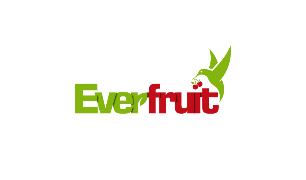 New Opening in Ever Fruit | Pune (Maharashtra)