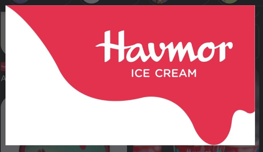 Havmor Ice Cream Pvt Ltd