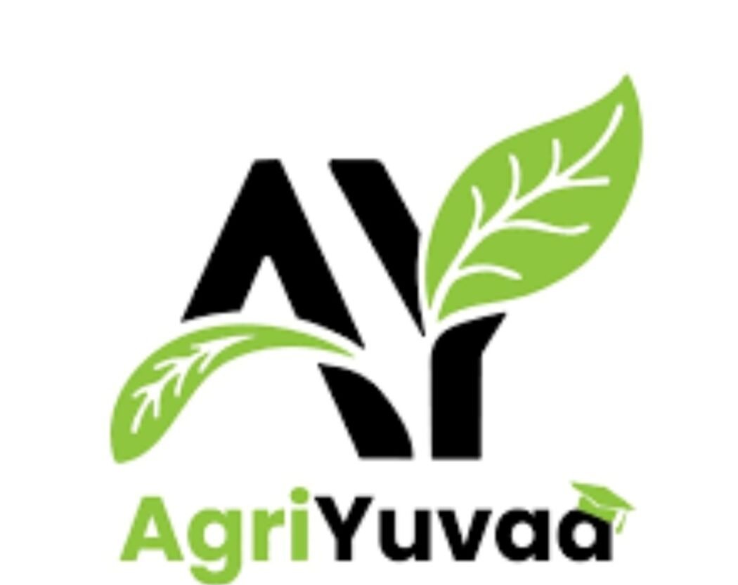 New Product Development (Food) Intern